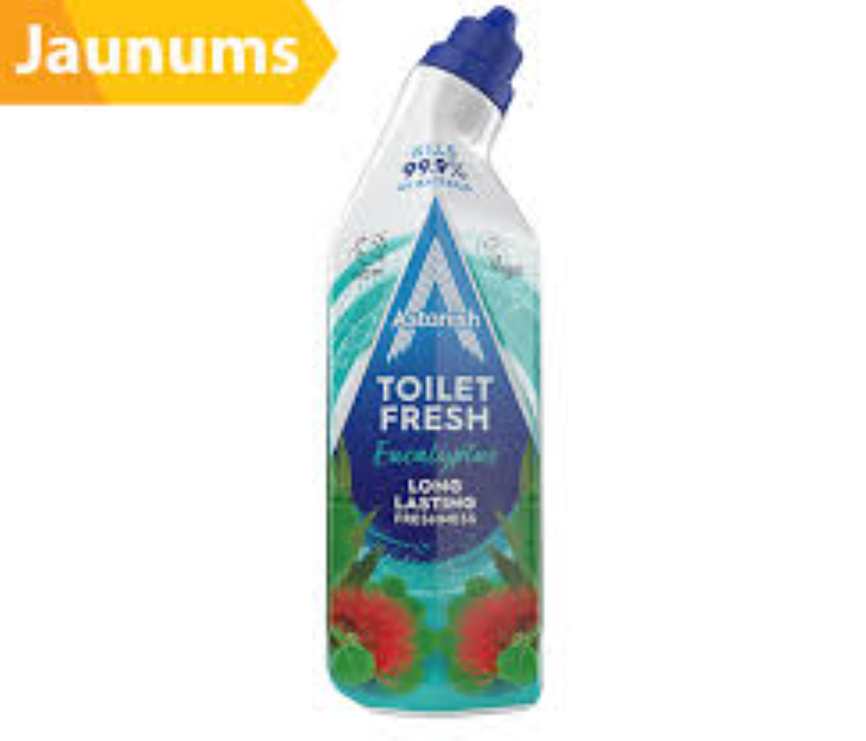 ASTONISH TOILET GEL EUCALYPTUS 750ML